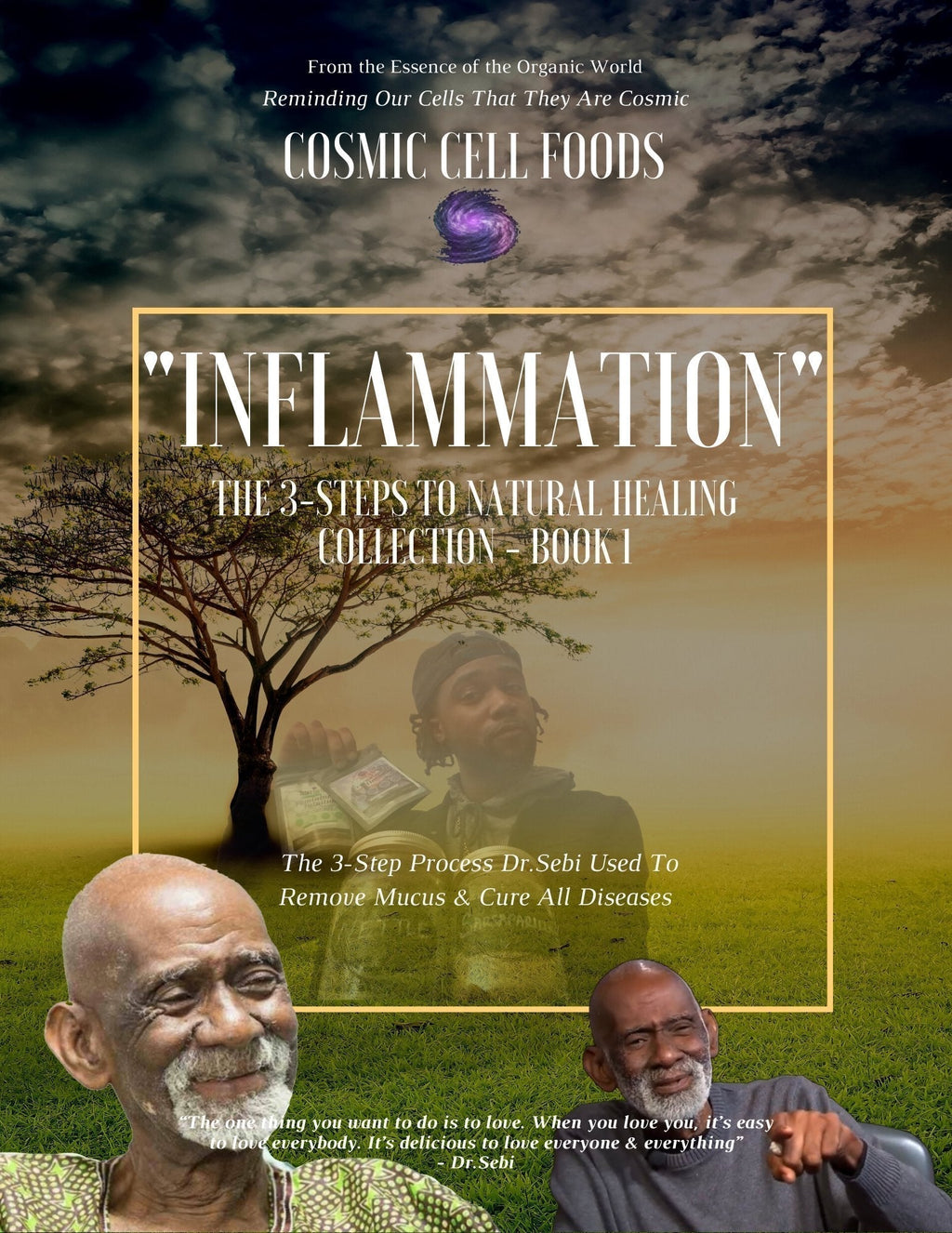 The 3-Steps To Healing Book Collection (The 3-Steps Dr.Sebi Used To Cure All Disease) - The Cosmic Chef